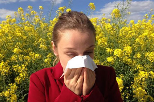 Dust, Pollen & Environmental Allergies