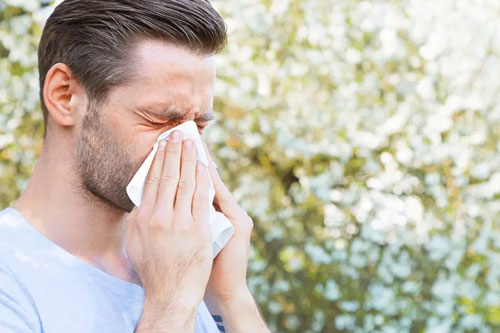 Allergic Rhinitis